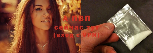 ПСИЛОЦИБИНОВЫЕ ГРИБЫ Касимов