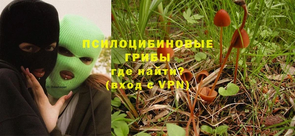 ПСИЛОЦИБИНОВЫЕ ГРИБЫ Касимов