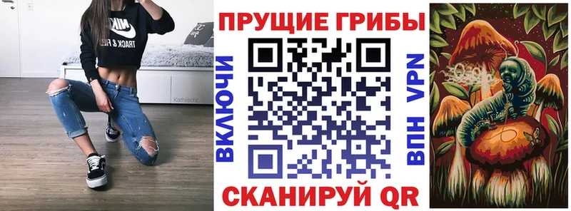 Купить  Рославль  Галлюциногенные грибы MAGIC MUSHROOMS 